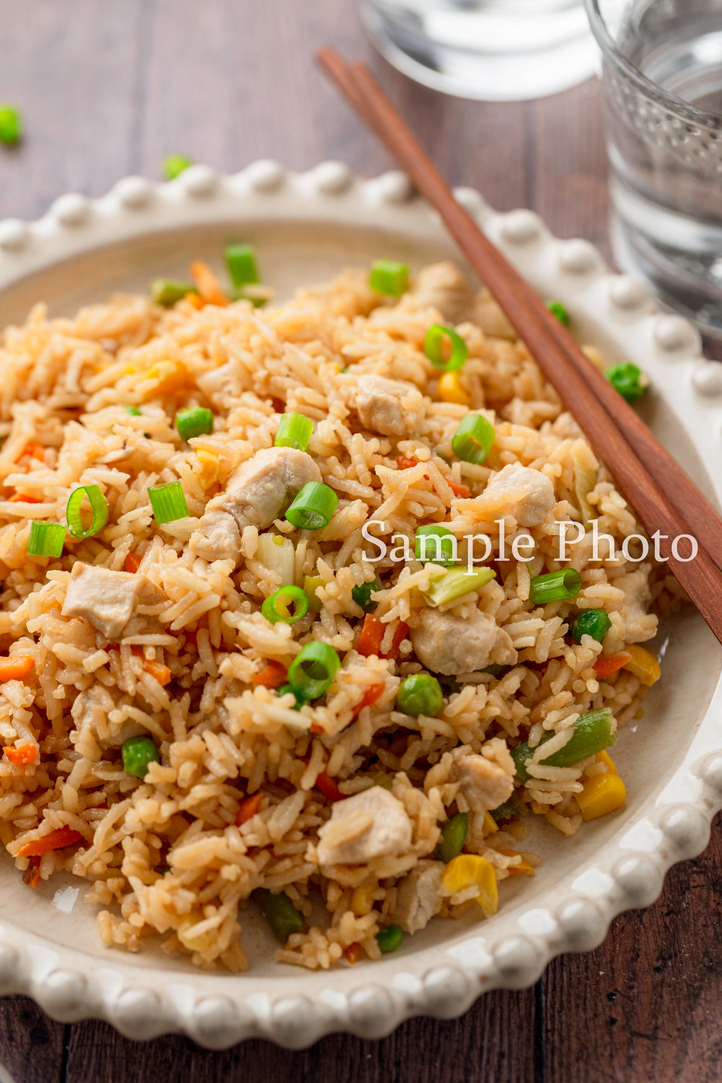 Teriyaki Chicken Fried Rice - Set 2